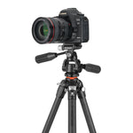 VEO 5 234CPS-36 Full-Size Carbon Tripod w/ Multi-Action Pan Head