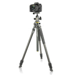 ALTA Pro 2+ 263CB 100 Carbon Tripod with Multi-Action Ball Head