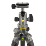 ALTA Pro 2+ 263CB 100 Carbon Tripod with Multi-Action Ball Head