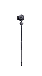 VEO 3+ 263CB | Professional Carbon Fiber Tripod with Ball Head | Overhead Shooting