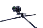 VEO 3+ 263CB | Professional Carbon Fiber Tripod with Ball Head | Overhead Shooting