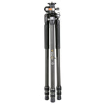 VEO 3+ 263CT Carbon Fiber Tripod (No Head)