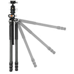 VEO 3+ 303CBS Carbon Tripod w/ Dual-Axis Ball Head