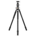 VEO 3+ 303CBS Carbon Tripod w/ Dual-Axis Ball Head