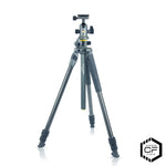 ALTA Pro 2+ 263CB 100 Carbon Tripod with Multi-Action Ball Head